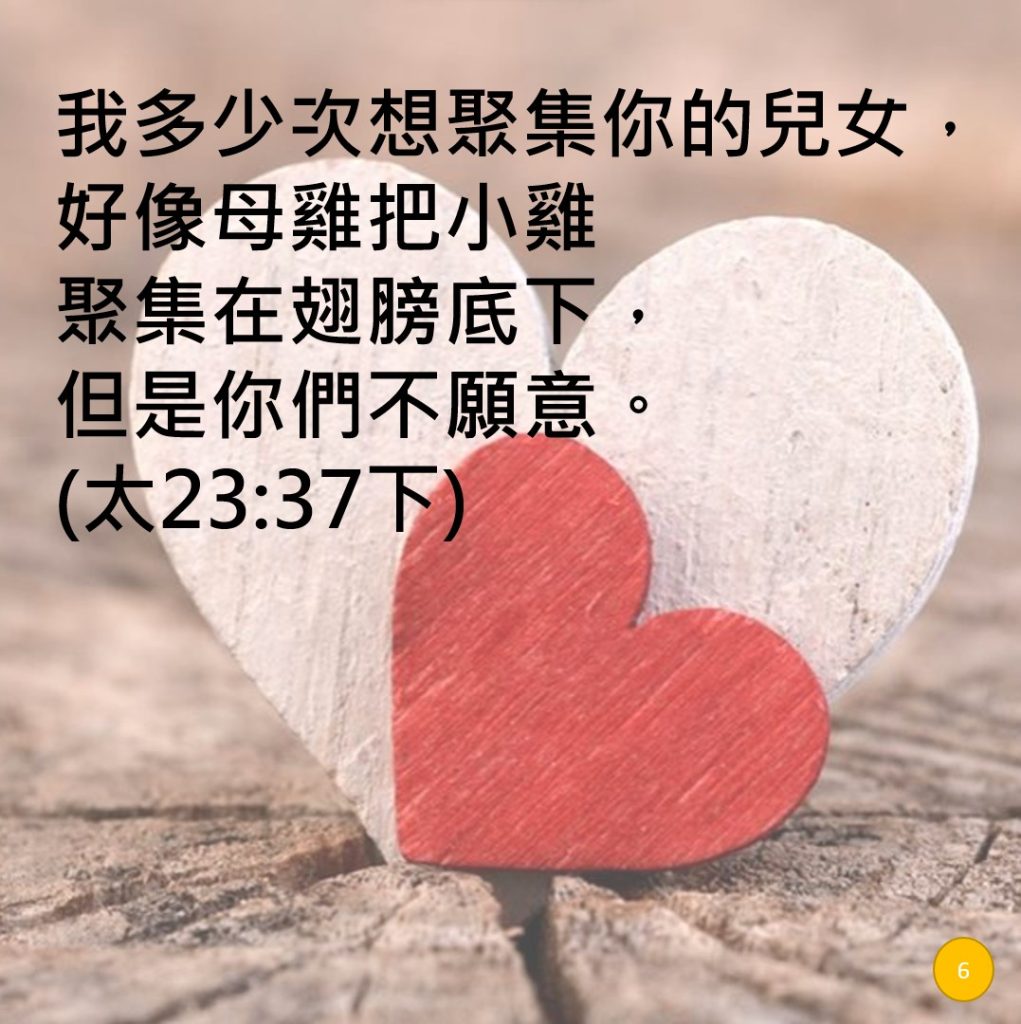 20230604-7