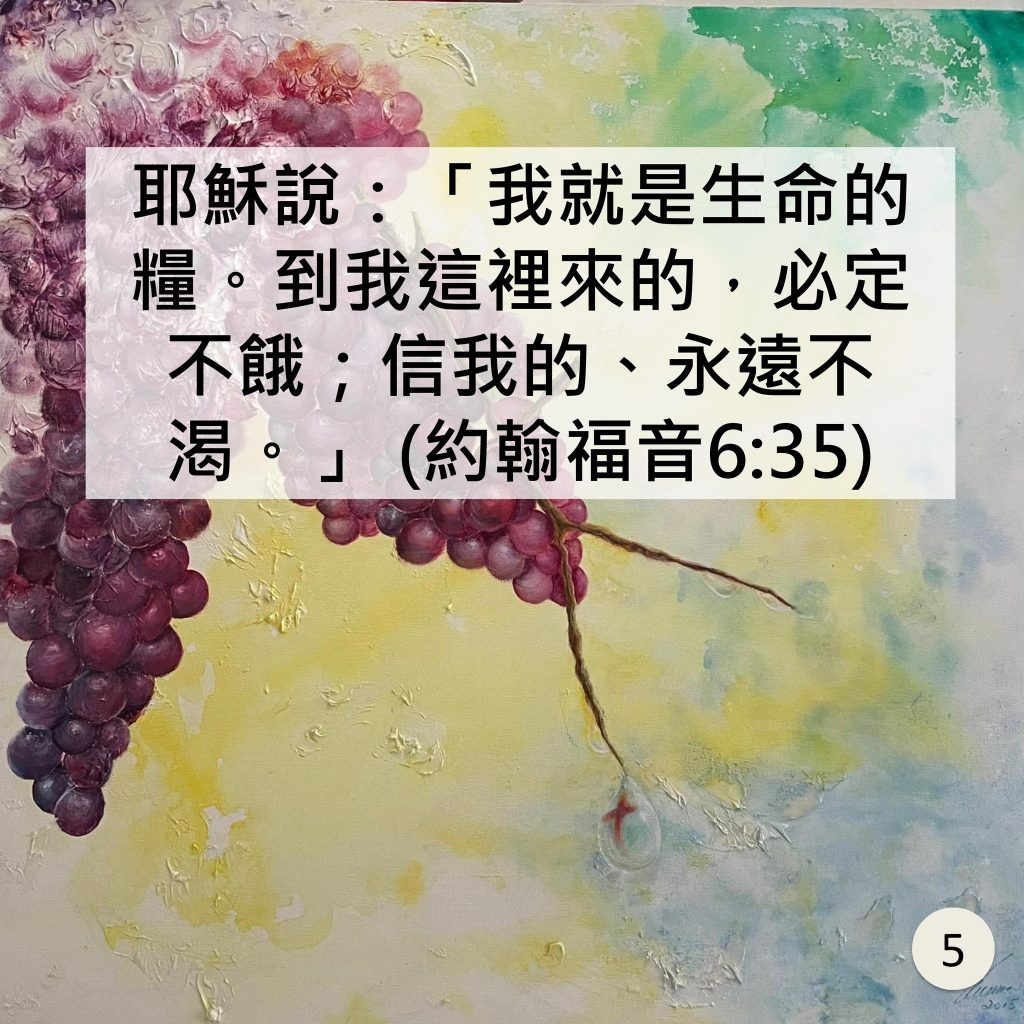 20240225-6