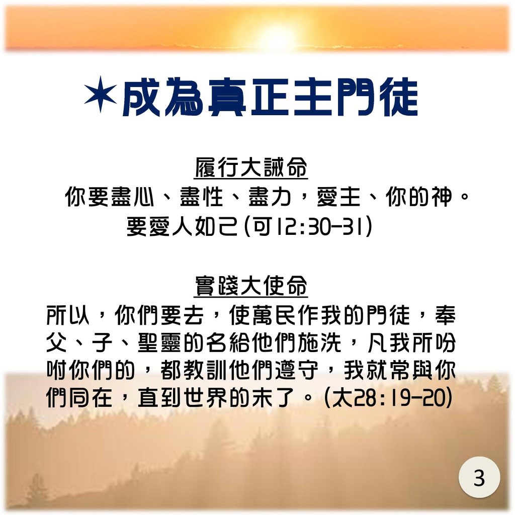 202503301-4